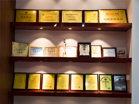 执行国际标准ISO9000质量管理体系，国家强制CCC安全认证，欧盟电器CE认证，欧盟环保ROHS认证标准。