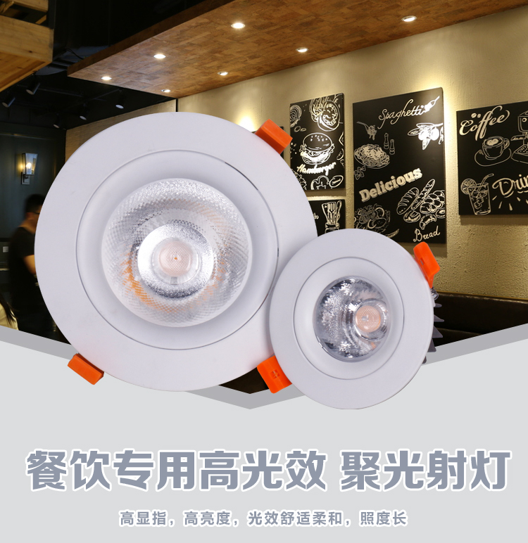 餐饮版B19神五-01筒灯_01.jpg