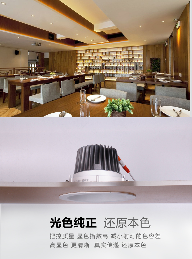 餐饮版B19神五-01筒灯_05.jpg